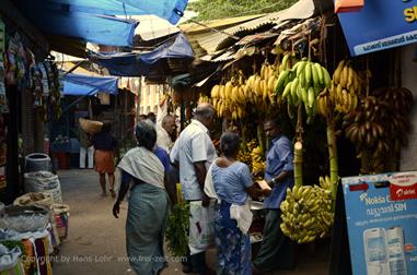 Connemara Market, Trivandrum,_DSC_9346_H600